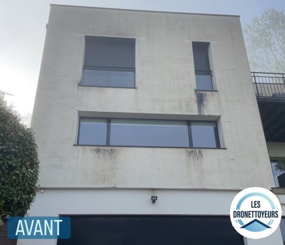 Façade principale avant nettoyage – coulures de biofilm noir, Chessy (77)